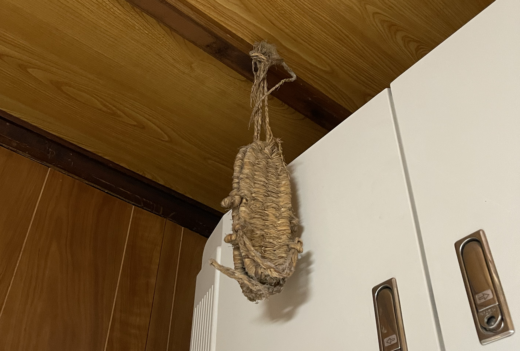 ぞろぞろの草履